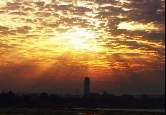 什么情况下不能种生基?种生基要什么条件