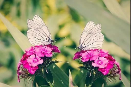 堕胎灵婴怎么超度?超度堕胎灵婴的方法