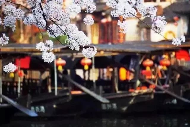 属鼠今年可戴黄金首饰吗