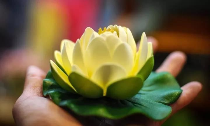 当大官出生日农历网上看相算命的准吗？