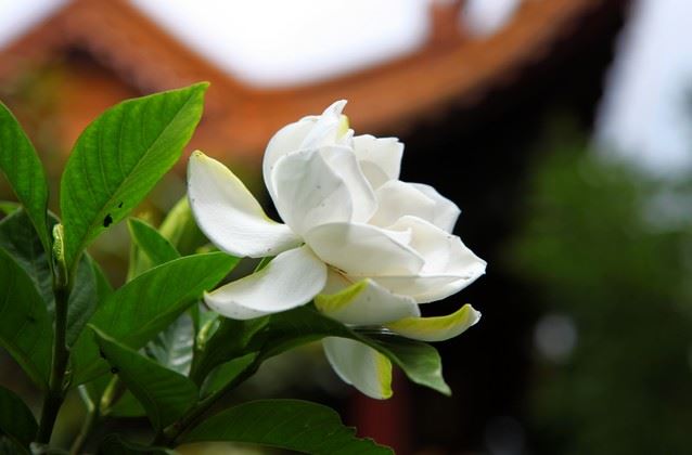 四字女宝宝名字大全两个字霸气