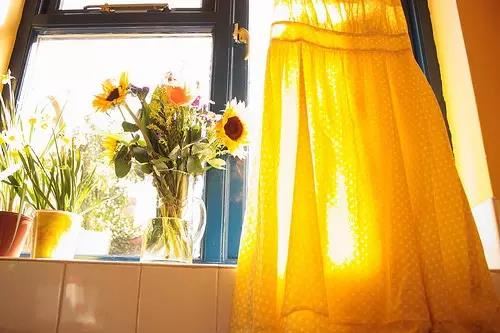 梦见青蛙是什么预兆，做梦梦见青蛙好不好？