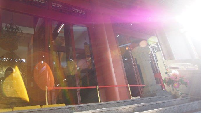 属牛的人本命年生二胎好吗 本命年牛,生个牛宝宝好吗