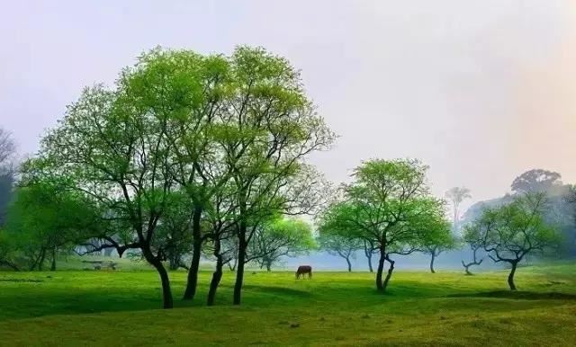 两人八字算命婚姻配对怎么看准确呢女人的命运