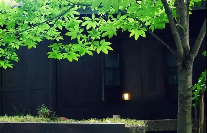 1996鼠与1999兔的婚姻会幸福吗?