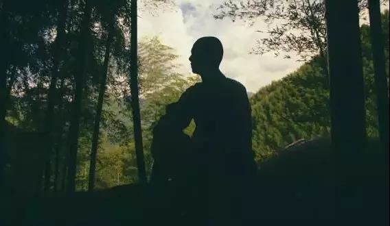 80年属猴人今年运气