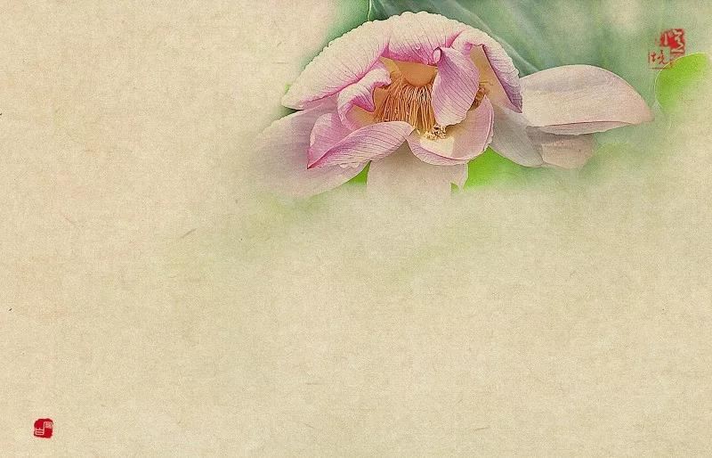 龙宝宝起名字带什么偏旁好呢