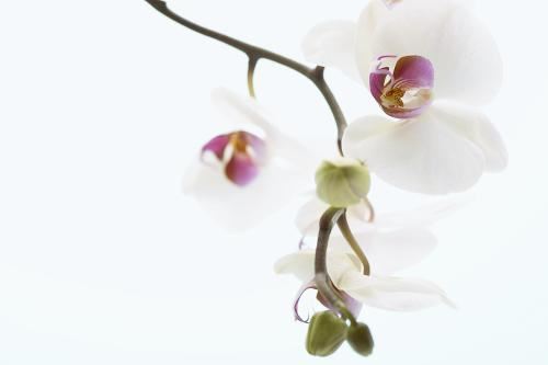 幸运数字与星座