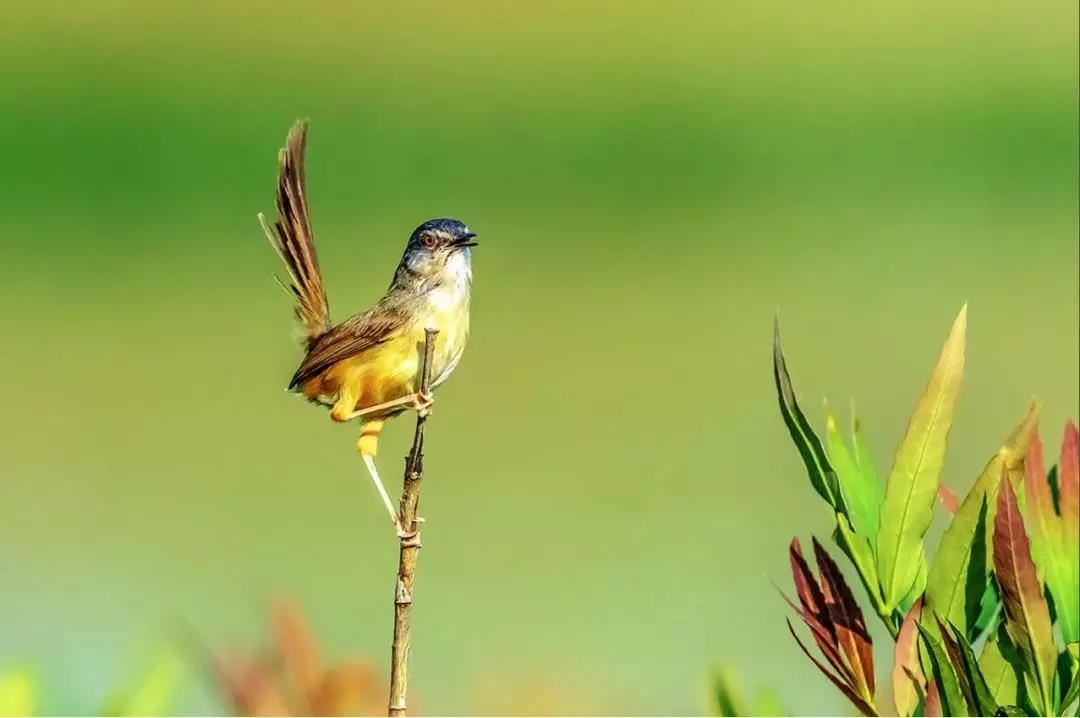 门口放杂物过多是不是影响财运？