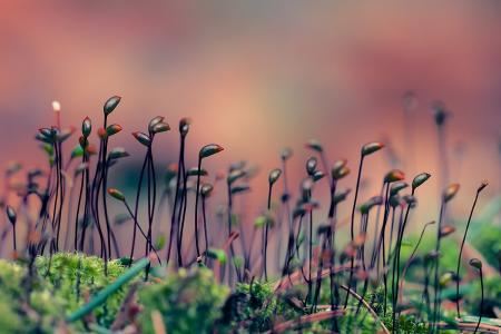 女孩四字起名字大全