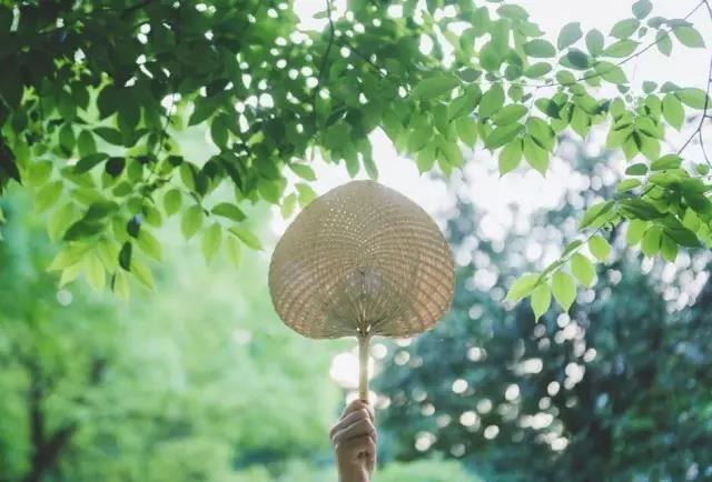 水产营业执照取名四字怎么取