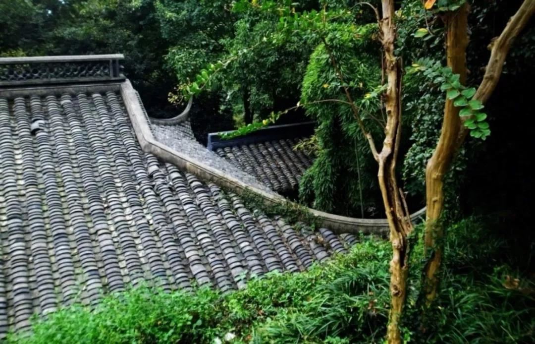 爆笑八字论坛:别让八字成为你的短板！