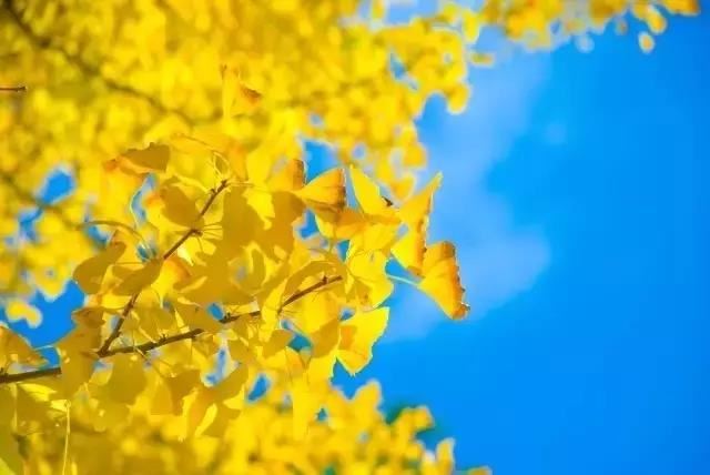 卧室色彩怎样搭配有利夫妻感情？怀疑对方出轨？