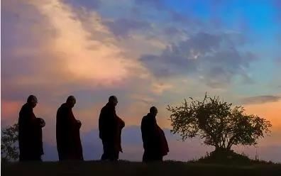 黑色郁金香花语有哪些？