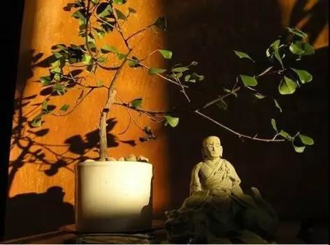 田姓女孩怎么起名好听，田姓女孩起什么名字好？