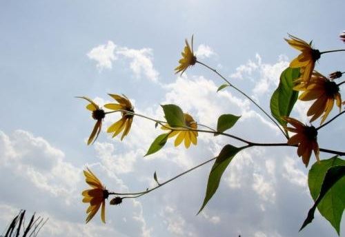 八字财运查询表的使用和优缺点 八字财运的知识