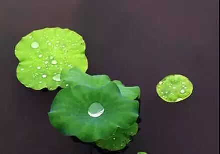 贵字取名的含义是什么 贵字取名