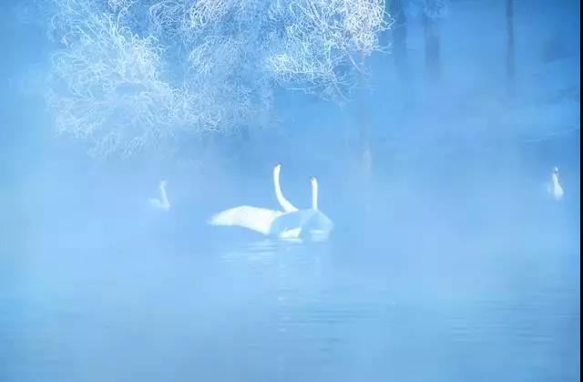 当“事事不顺”找上门来，你会怎么做？该如何化解这种状态？本文将从多个角度为你呈现化解建议。