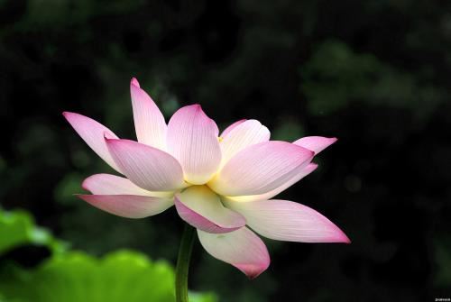 女人增加偏财运方法