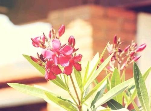 分手使用和合术让你们重温激情 找回甜蜜