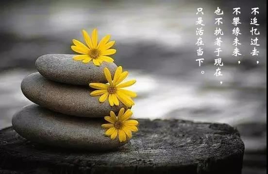 免费测两人八字合婚 八字合婚