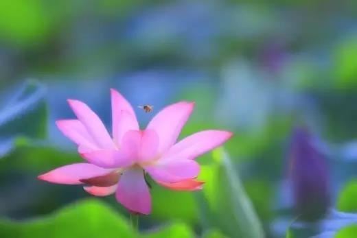 晔取名的寓意 晔取名含义好吗怎么取