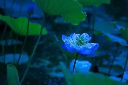 去普陀山普济寺做婴灵超度的方法