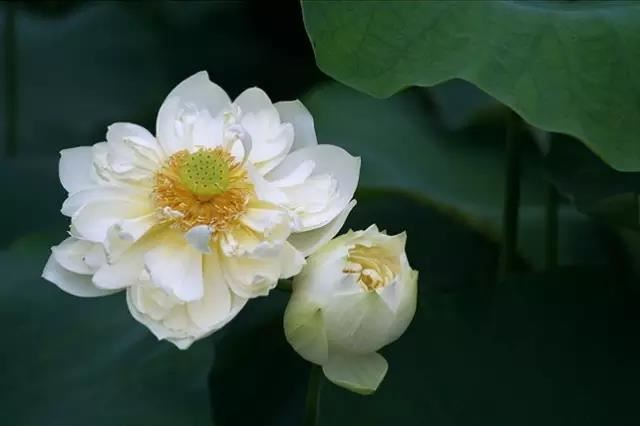 增加自身财运的方法？居室增加财运？