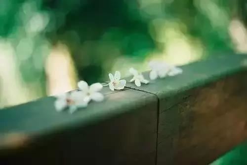 12星座戴眼镜最好看排名？