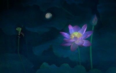 属虎男生为何与你暧昧