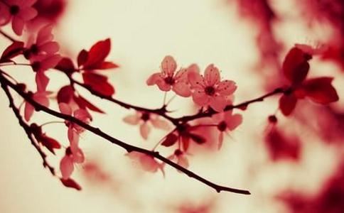 感情和合术 解决感情问题的有效途径