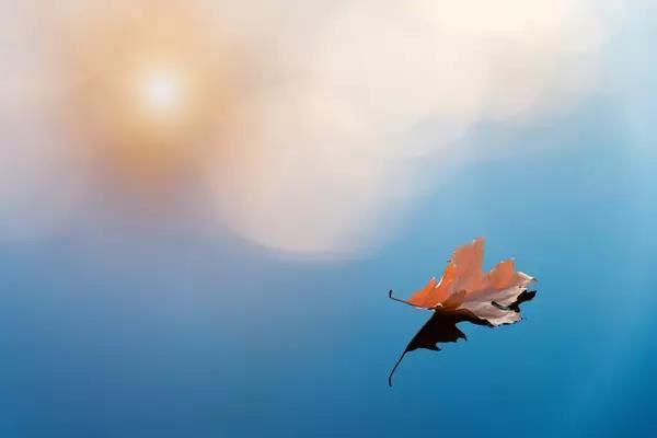 如何算出自己属于哪个卦？