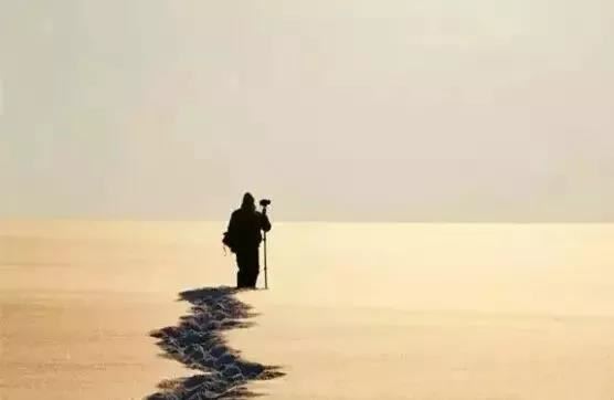 女孩名字带金的字有那些