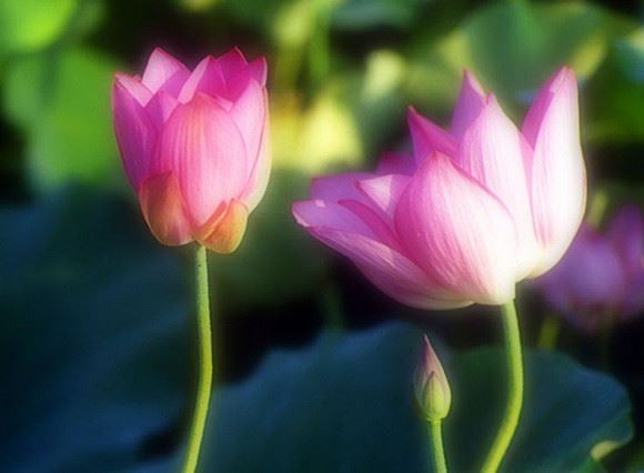 家庭矛盾自己解决不了怎么办？