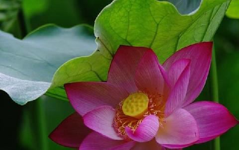 朱姓2个字名字男孩大全四个字 朱姓2个字名字大全女孩属虎