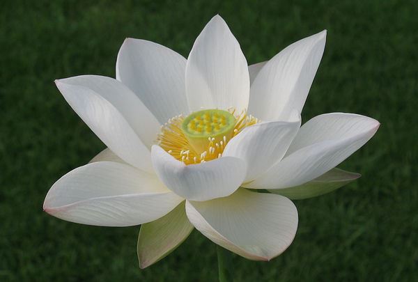 水逆期间不要做的事 水逆期哪些事情别做