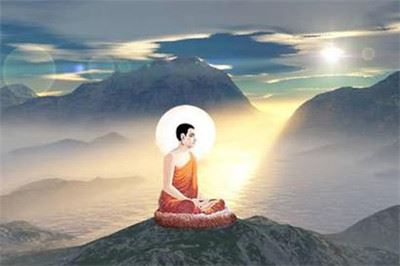 郁金香花语是什么，郁金香代表什么？