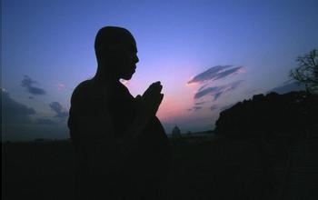 属马的1990年是什么命运女