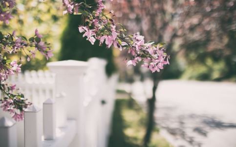 正月能算卦不能算命算一次命折寿一次