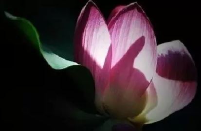 家中客厅玄关风水要注意