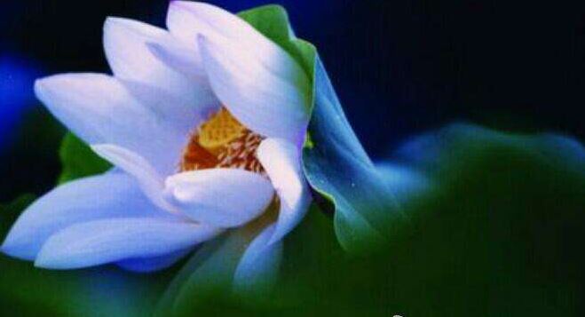 上等婚姻几乎都是上等八字， 八字中出现七杀反被制的组合？