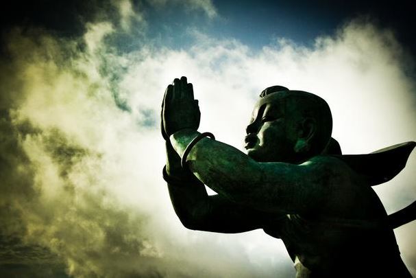 兰花的花语和寓意是什么？