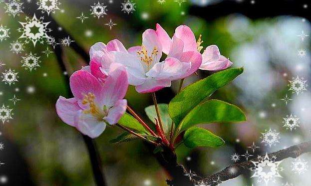 姓贺的女孩名字超好听