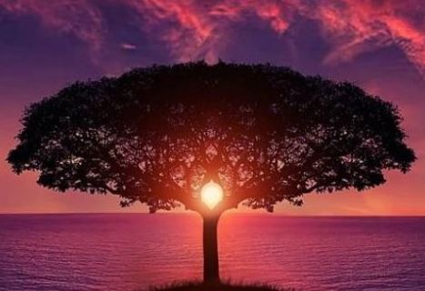 周易店铺起名免费取名打分