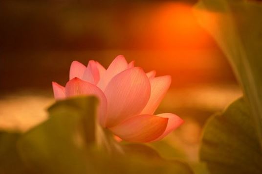 婚姻八字免费测试，婚姻法律顾问免费咨询，你需要知道的一切！