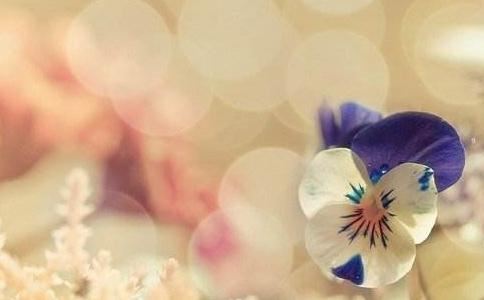 真正免费取名字