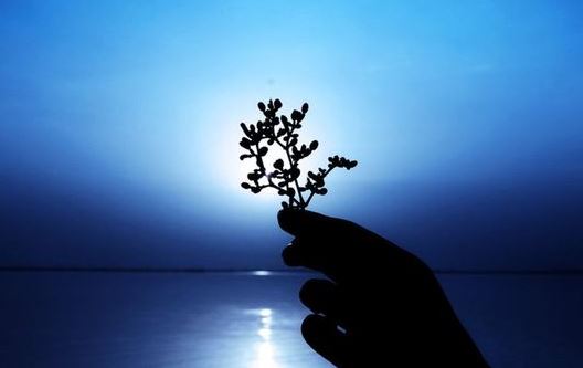 男孩有福气的日柱