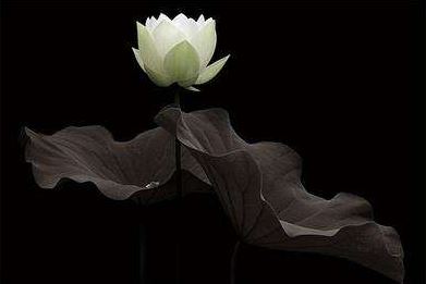 王怀民这个名字好吗