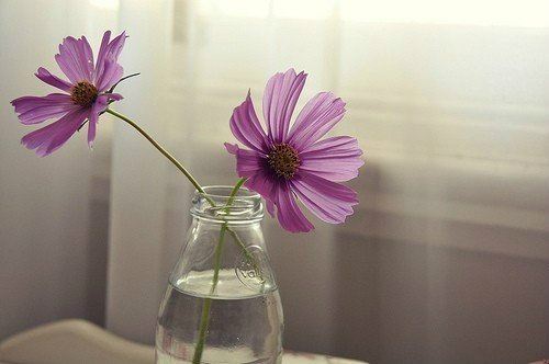 怎么拿捏狮子座的女生的心(如何拿捏霸道狮子座)？