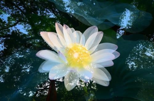 庚辰日女命到老是啥命？